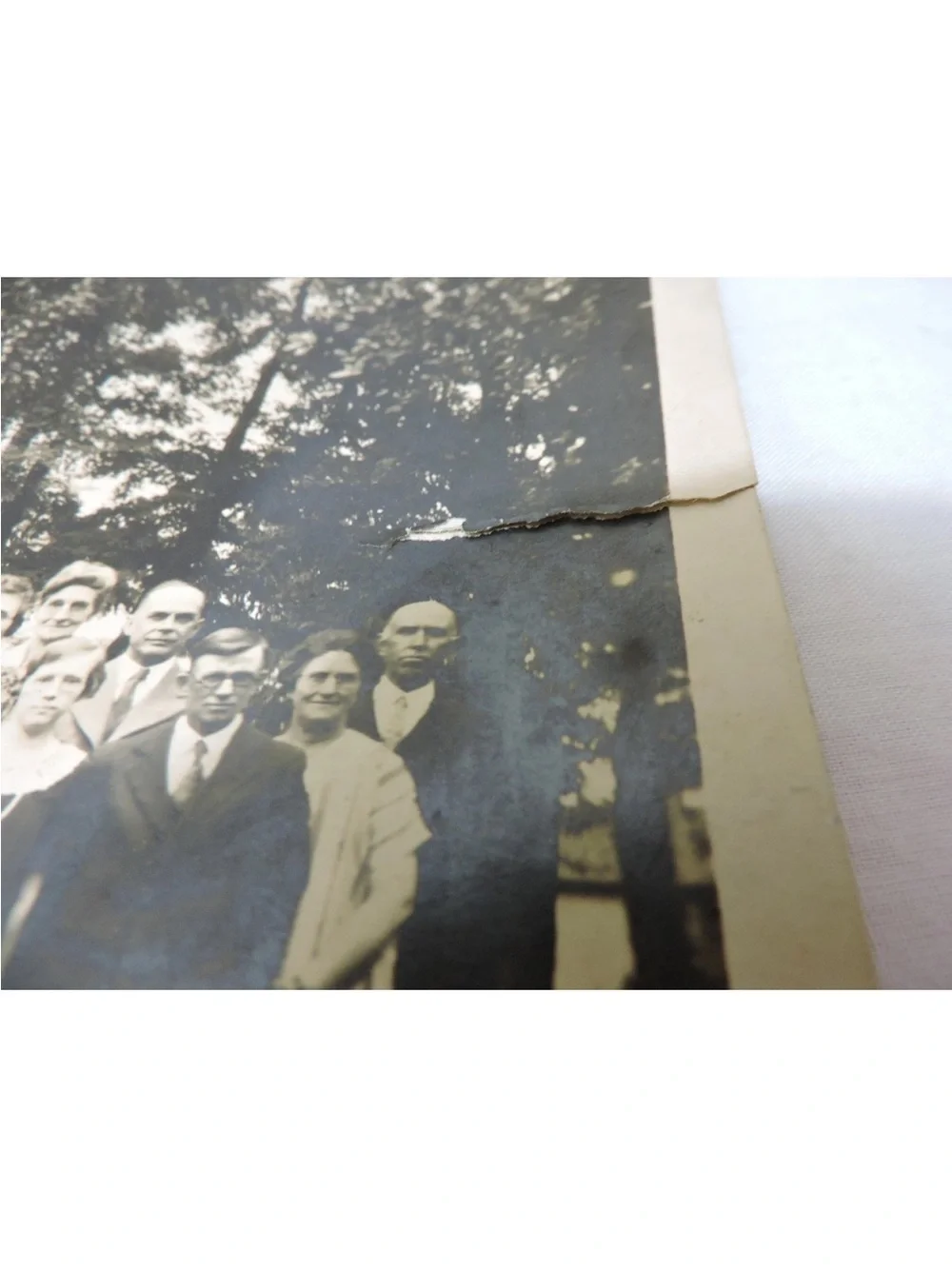 Antique Family Reunion Photo Large 8 x 10  Original Reunion of Family